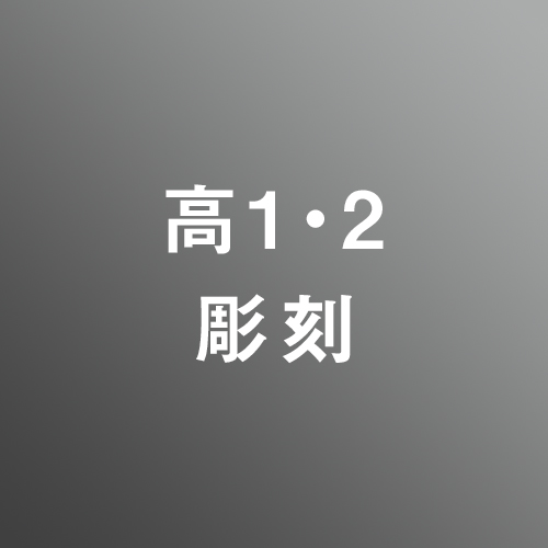 [ 中期 夜 ] 高校1・2年生科 アドバンス 彫刻志望 <12/18 - 12/22>