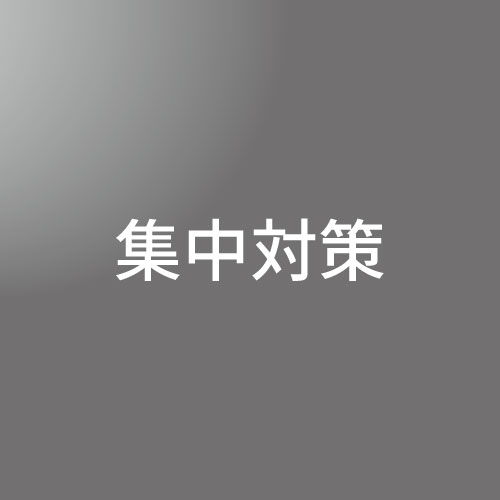 [ 入直 ]集中対策（私大デザイン）日曜パック②<1/31 - 2/14>