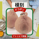 3/28「模刻-デコポン-」中学生～社会人・一般AG