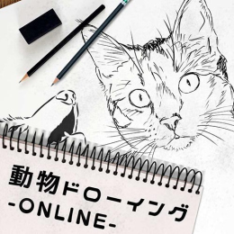 3/11「動物ドローイング」(オンライン)中学生～社会人・一般AG