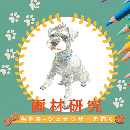 6/21「画材研究-色鉛筆-犬を描く(オンライン)」中学生～社会人・一般AG