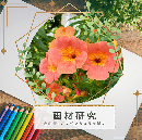 6/28「画材研究-色鉛筆-(季節の花を描く)」中学生～社会人・一般AG