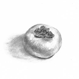 10 9 最短距離で上達する 初心者のためのデッサン オンライン 社会人 一般ag Ochabiインターネット申込