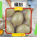 11/22「模刻-レモン-」中学生～社会人・一般AG
