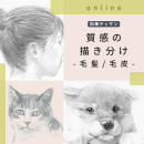 2/18「質感の描き分け-毛髪/毛皮-」(オンライン)中学生～社会人・一般AG
