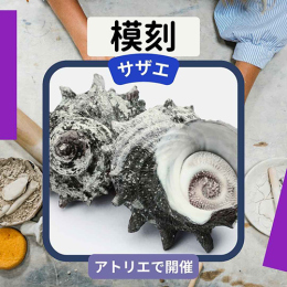 2/28「模刻-サザエ-」中学生～社会人・一般AG